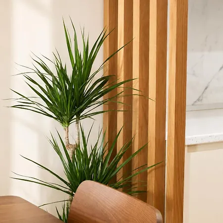 Luxury Urban Apartament
